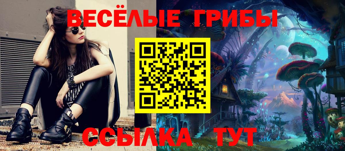 Галлюциногенные грибы прущие грибы  Вход с VPN  Отрадное  Галлюциногенные грибы Psilocybe 